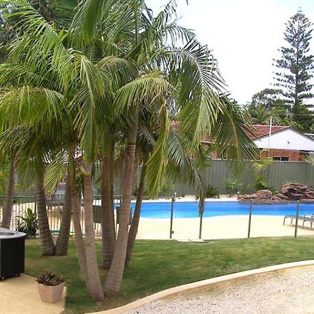 Koala Tree Motel พอร์ตแมคควอรี ภายนอก รูปภาพ