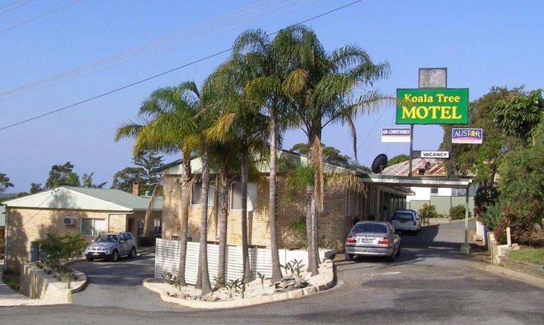 Koala Tree Motel พอร์ตแมคควอรี ภายนอก รูปภาพ